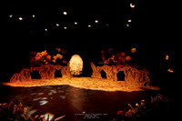 tmytc 260609 life of insects 2-(PROOF ONLY)