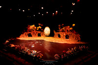 mytc 260609 life of insects EXTENDED