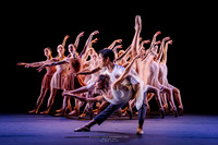 waapa 260611 rise 1 - 9-(PROOF ONLY)