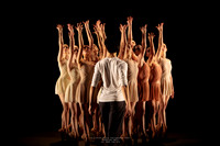 waapa 260611 rise 1 - 23-(PROOF ONLY)