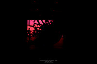waapa 260611 rise 3 - 176-(PROOF ONLY)