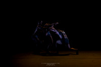 waapa 260611 rise 4 - 7-(PROOF ONLY)