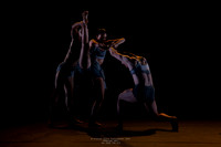 waapa 260611 rise 4 - 8-(PROOF ONLY)