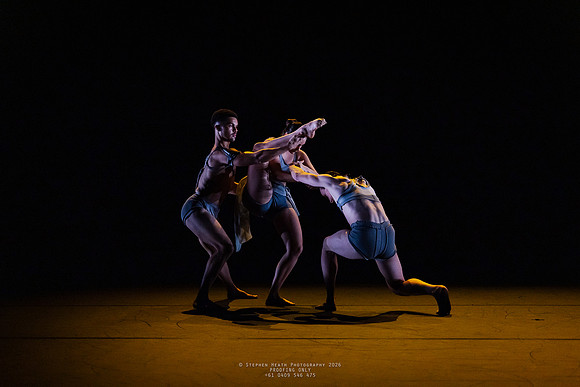 waapa 260611 rise 4 - 6-(PROOF ONLY)