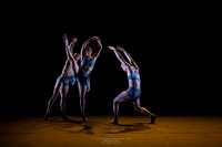 waapa 260611 rise 4 - 11-(PROOF ONLY)