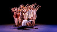 waapa 260611 rise 1 - 6-(PRINT ONLY)