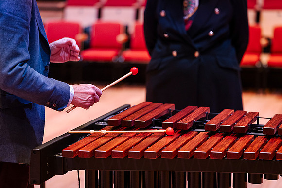 ecu 260622 xylophone 129-(PRINT ONLY)