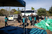 peet 260724 brabham tree planting 10-(PRINT ONLY)