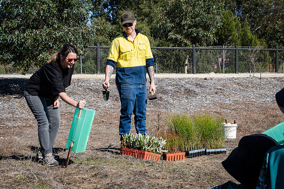 peet 260724 brabham tree planting 56-(PRINT ONLY)