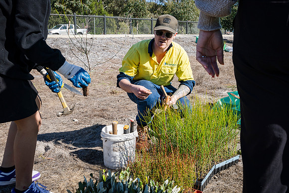 peet 260724 brabham tree planting 90-(PRINT ONLY)