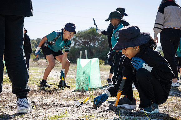 peet 260724 brabham tree planting 116-(PRINT ONLY)