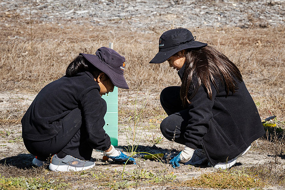 peet 260724 brabham tree planting 131-(PRINT ONLY)