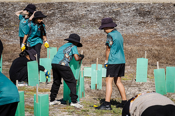 peet 260724 brabham tree planting 139-(PRINT ONLY)