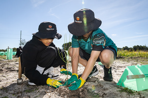 peet 260724 brabham tree planting 164-(WEB ONLY)