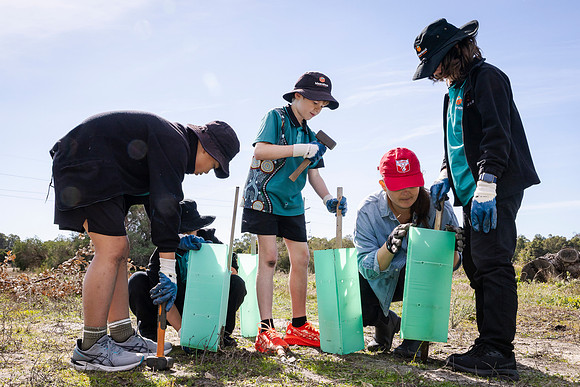 peet 260724 brabham tree planting 211-(PRINT ONLY)