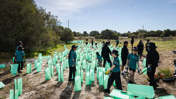 peet 260724 brabham tree planting 226-(WEB ONLY)