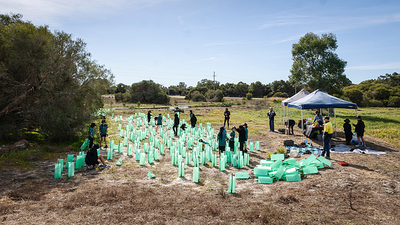 peet 260724 brabham tree planting 227-(PRINT ONLY)