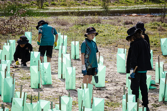 peet 260724 brabham tree planting 230-(WEB ONLY)