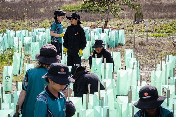 peet 260724 brabham tree planting 233-(WEB ONLY)