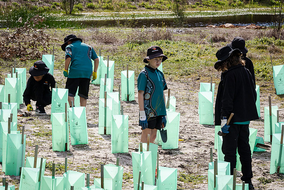 peet 260724 brabham tree planting 230-(PRINT ONLY)