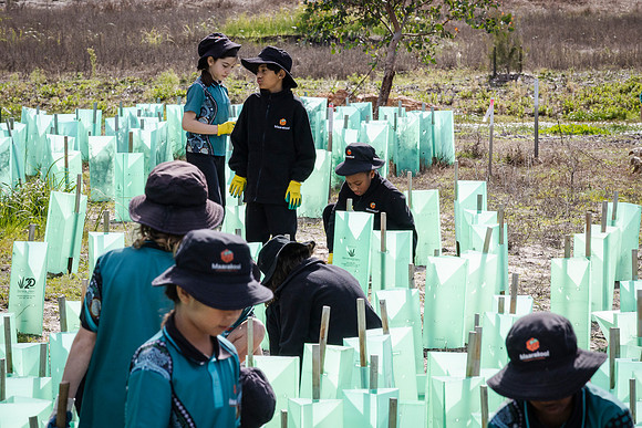 peet 260724 brabham tree planting 233-(PRINT ONLY)