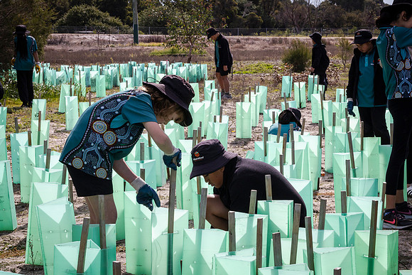 peet 260724 brabham tree planting 237-(PRINT ONLY)