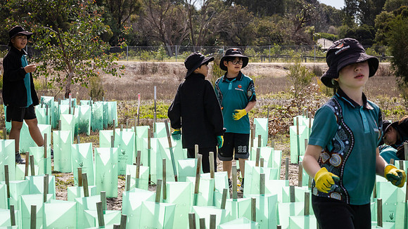 peet 260724 brabham tree planting 245-(WEB ONLY)
