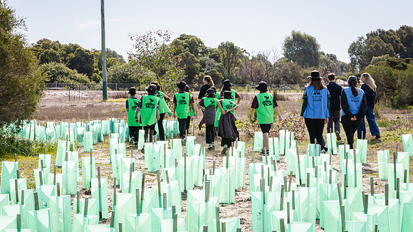 peet 260724 brabham tree planting 305-(WEB ONLY)