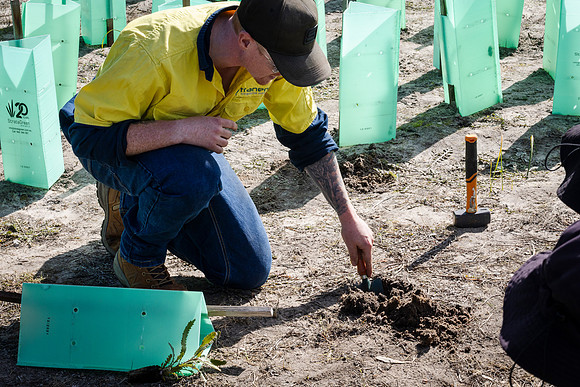peet 260724 brabham tree planting 326-(PRINT ONLY)