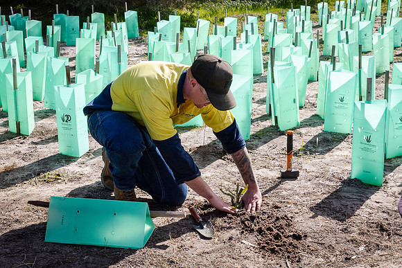 peet 260724 brabham tree planting 329-(PRINT ONLY)