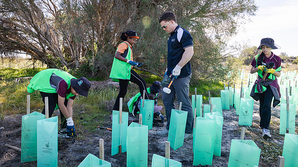 peet 260724 brabham tree planting 392-(PRINT ONLY)