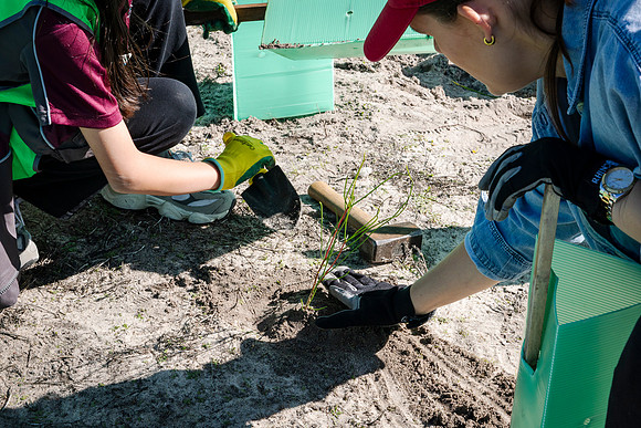 peet 260724 brabham tree planting 402-(PRINT ONLY)