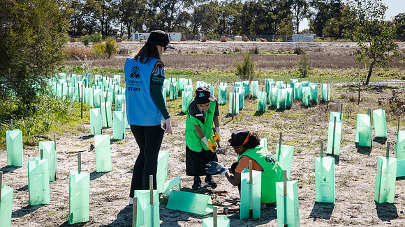 peet 260724 brabham tree planting 414-(PRINT ONLY)