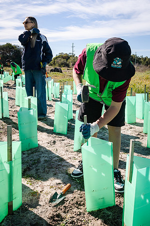 peet 260724 brabham tree planting 425-(WEB ONLY)