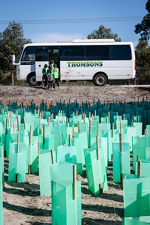 peet 260724 brabham tree planting 493-(WEB ONLY)