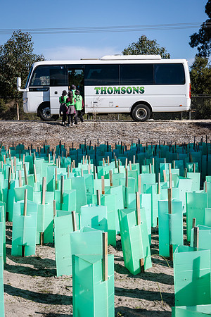 peet 260724 brabham tree planting 493-(PRINT ONLY)