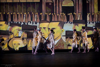 pc 241017 dance showcase 12-(PROOF ONLY)