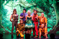 zealous 221221 peter pan 704-(WEB ONLY)
