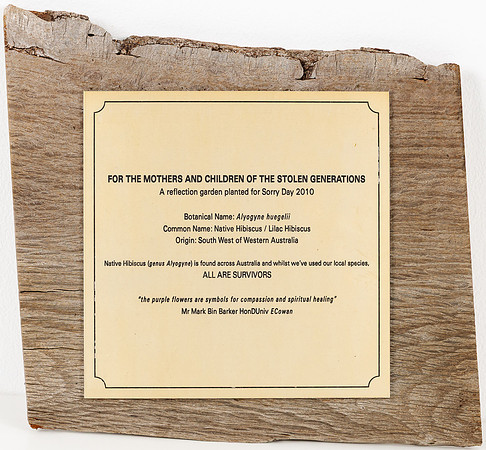 ecu 260818 honour boards & plaques 32-(WEB ONLY)