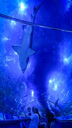 maw 260827 harry 558-(WEB ONLY)