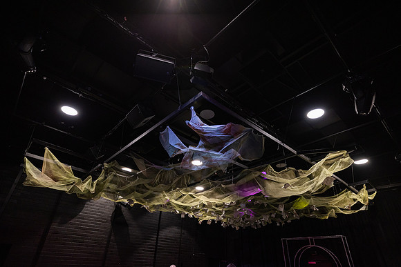 waapa 230328 orlando 1-(PROOF ONLY)