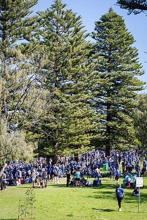 toc 260830 city to surf 152-(PRINT ONLY)