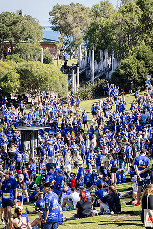 toc 260830 city to surf 180-(PRINT ONLY)