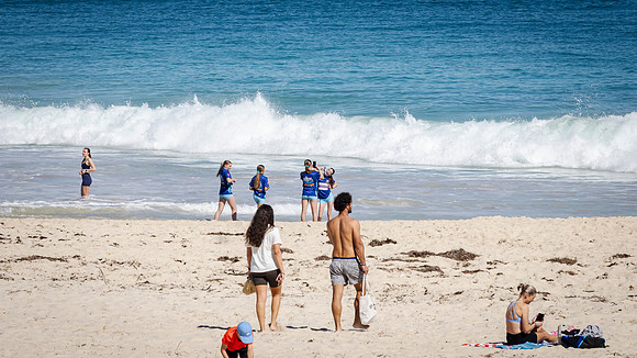 toc 260830 city to surf 221-(PRINT ONLY)