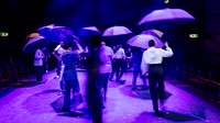 waapa 260911 a very expensive poison 2-(PRINT ONLY)
