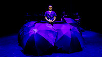 waapa 260911 a very expensive poison 15-(WEB ONLY)