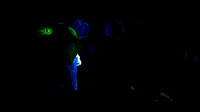 waapa 260911 a very expensive poison 18-(PRINT ONLY)