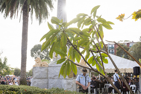toc 230425 anzac service 128-(WEB ONLY)