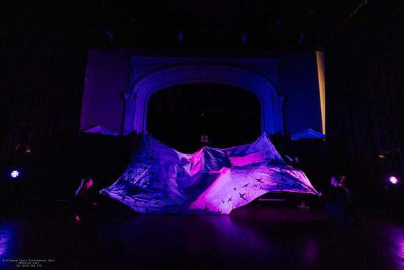 waapa 2411008 tmotlb 18-(PROOF ONLY)