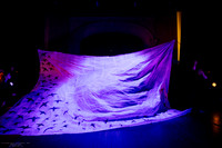 waapa 2411008 tmotlb 6-(PROOF ONLY)